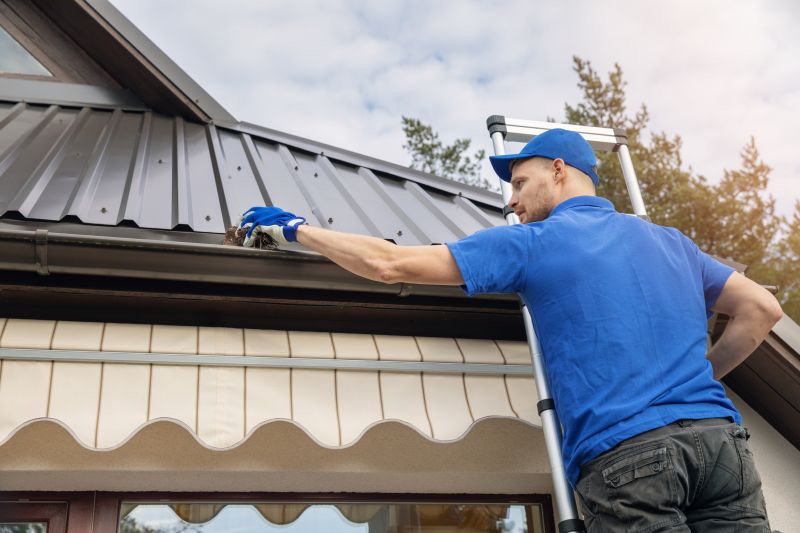 Clean and Protected Gutters